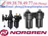Đồng hồ đo áp suất Norgren - Bộ lọc khí Norgren - anh 1