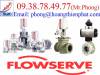 van điện từ Flowserve, Van điền khiển Flowserve,van bi Flowserve - anh 3