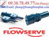 Xylanh thủy lực Flowserve - Xilanh thủy lực Flowserve - anh 1