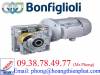 Động cơ giảm tốc Bonfiglioli - Đại lý Bonfiglioli tại Việt Nam - anh 2