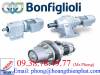 Động cơ giảm tốc Bonfiglioli - Đại lý Bonfiglioli tại Việt Nam - anh 3