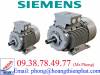 Động cơ Siemens ,Biến tần Siemens - anh 1