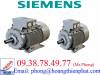 Động cơ Siemens ,Biến tần Siemens - anh 2