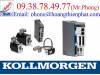 Động Cơ Kollmorgen - Kollmorgen Drive Servo Motor - anh 4