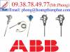 Đầu dò nhiệt độ ABB - anh 2