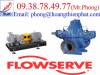 Bơm thủy lực Flowserve - Đại lý Flowserve tại Việt Nam - anh 2