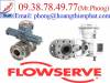 van điện từ Flowserve, Van điền khiển Flowserve,van bi Flowserve - anh 1