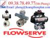 van điện từ Flowserve, Van điền khiển Flowserve,van bi Flowserve - anh 2