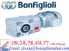 Bonfiglioli Việt Nam - anh 1