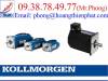 Động cơ điện Kollmorgen - Kollmorgen motor - Kollmorgen Servo - anh 2