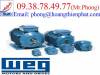 Động cơ Weg - Motors Weg - Hộp số Weg - Gear Motor Weg - anh 1