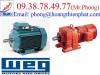 Động cơ Weg - Motors Weg - Hộp số Weg - Gear Motor Weg - anh 2