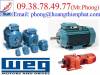 Động cơ Weg - Motors Weg - Hộp số Weg - Gear Motor Weg - anh 3