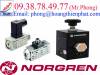 Van tiết lưu Norgren - Van điện từ Norgren - anh 2